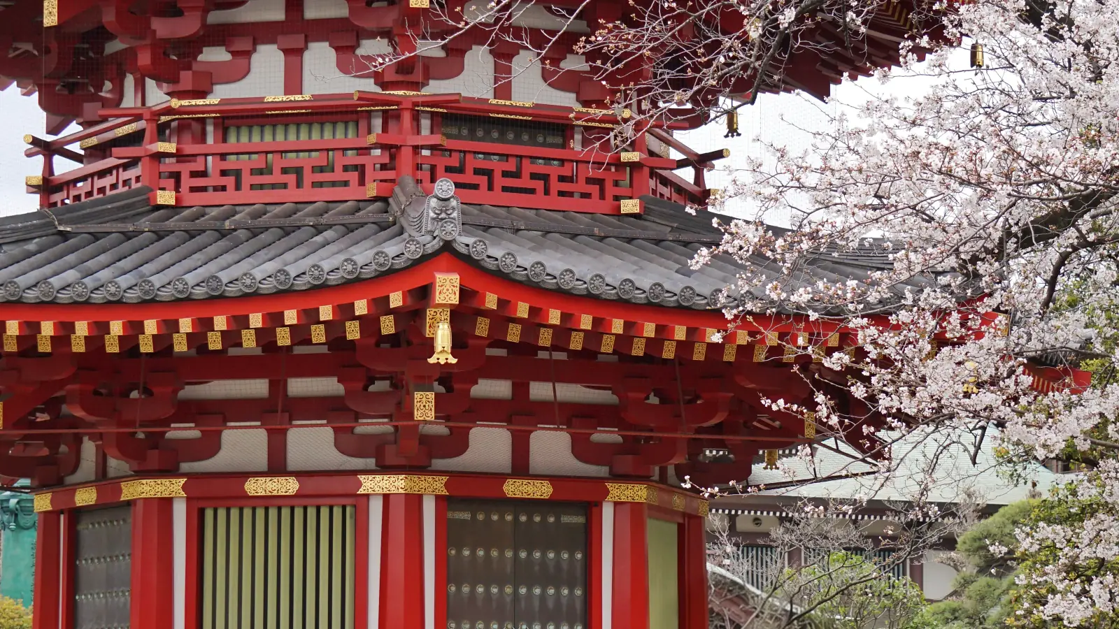 Red pagoda with gold ornamentation and cherry blossoms in front