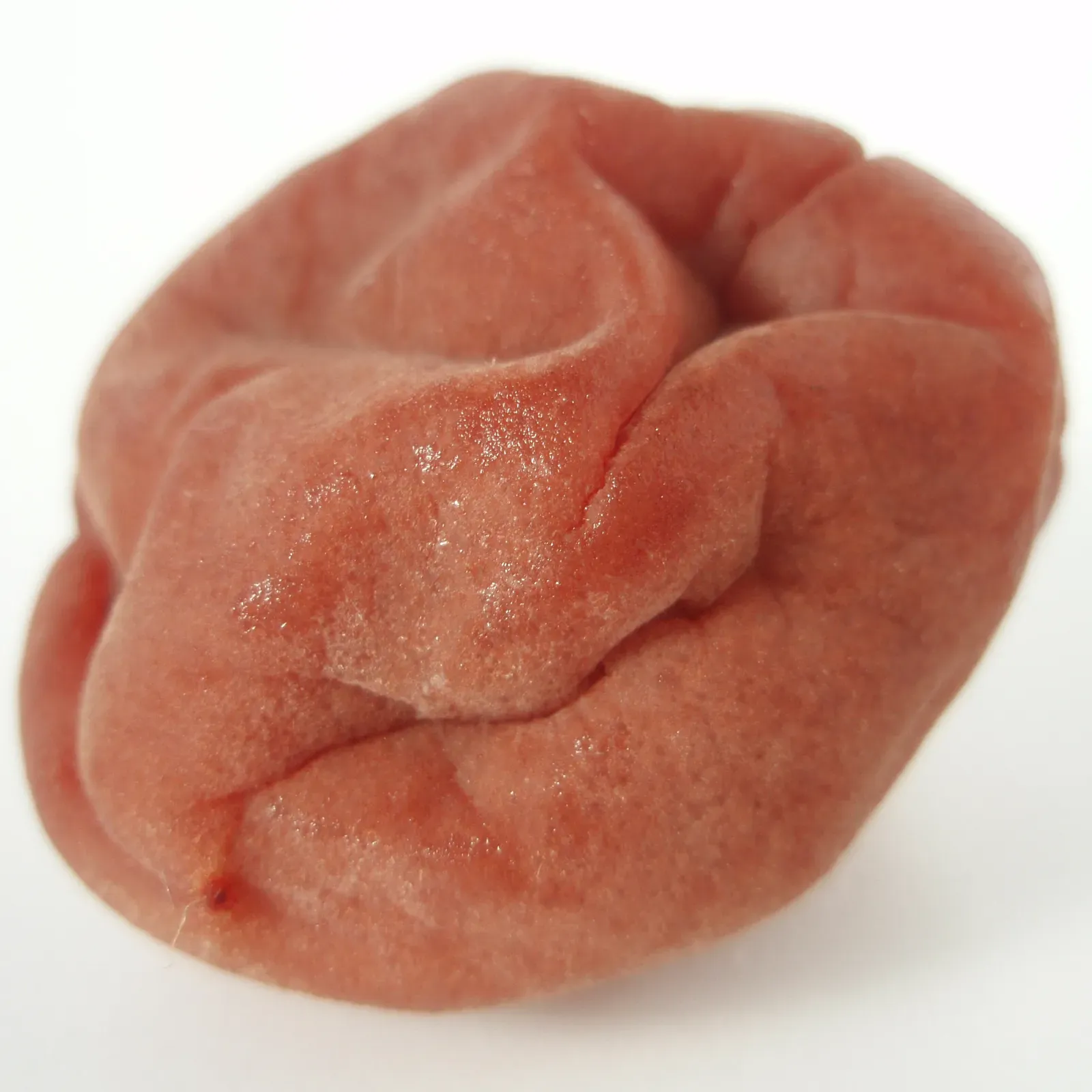A single wrinkled red umeboshi against a white background